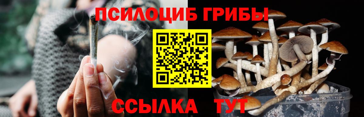 Галлюциногенные грибы Psilocybine cubensis  Вход с VPN  Балашиха  Галлюциногенные грибы MAGIC MUSHROOMS 